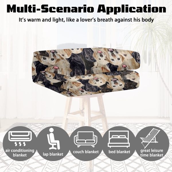 Sleepwish Flannel Fleece Blanket Cat Printed Kitty Throw Blanket for Bed Couch Chair, 50x60"