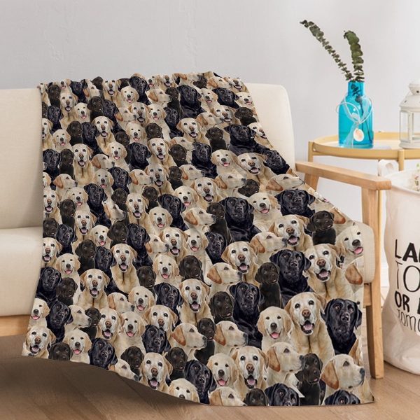 Sleepwish Flannel Fleece Blanket Cat Printed Kitty Throw Blanket for Bed Couch Chair, 50x60"