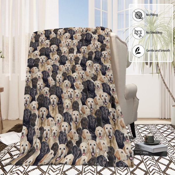 Sleepwish Flannel Fleece Blanket Cat Printed Kitty Throw Blanket for Bed Couch Chair, 50x60"